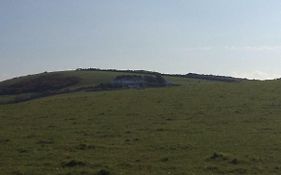 Moonfleet